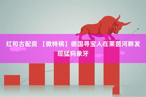 红和古配资 【微特稿】德国寻宝人在莱茵河畔发现猛犸象牙