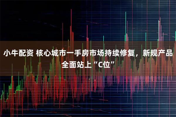 小牛配资 核心城市一手房市场持续修复，新规产品全面站上“C位”